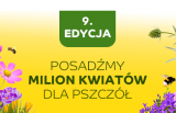 News zdjęcie id 458